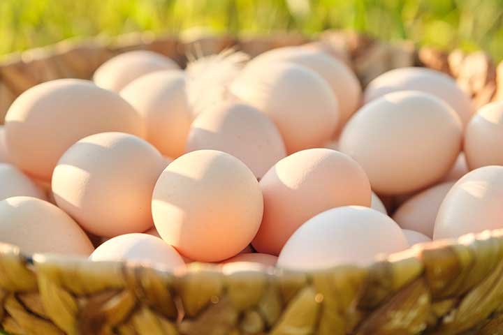 Fresh eggs