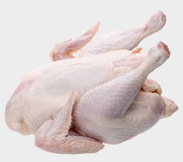 Fresh Chicken